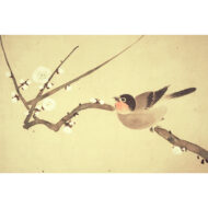 「梅に小禽図」