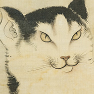 長沢芦雪（長澤蘆雪）「猫図」0