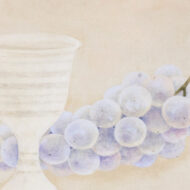 正井和行「ぶどう」0