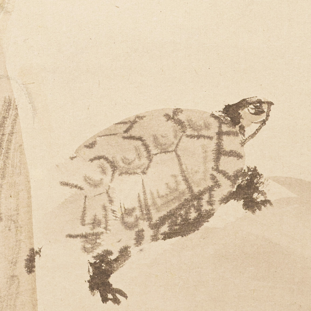 応挙　亀と人物図　箱なし　MA916 応挙 亀と人物図 箱なし MA916 美術品・アンティーク・コレクション