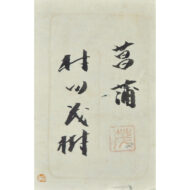 「菖蒲」